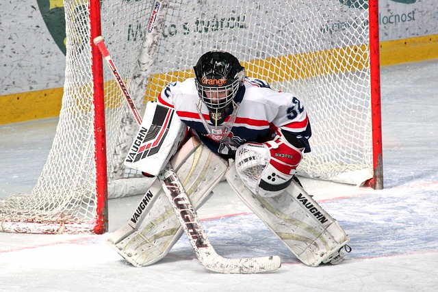 数据证明了 数据证明了