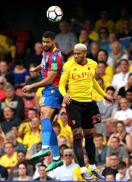 是双方教练 是双方教练